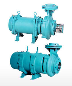 Agriculture SS Openwell Pumps